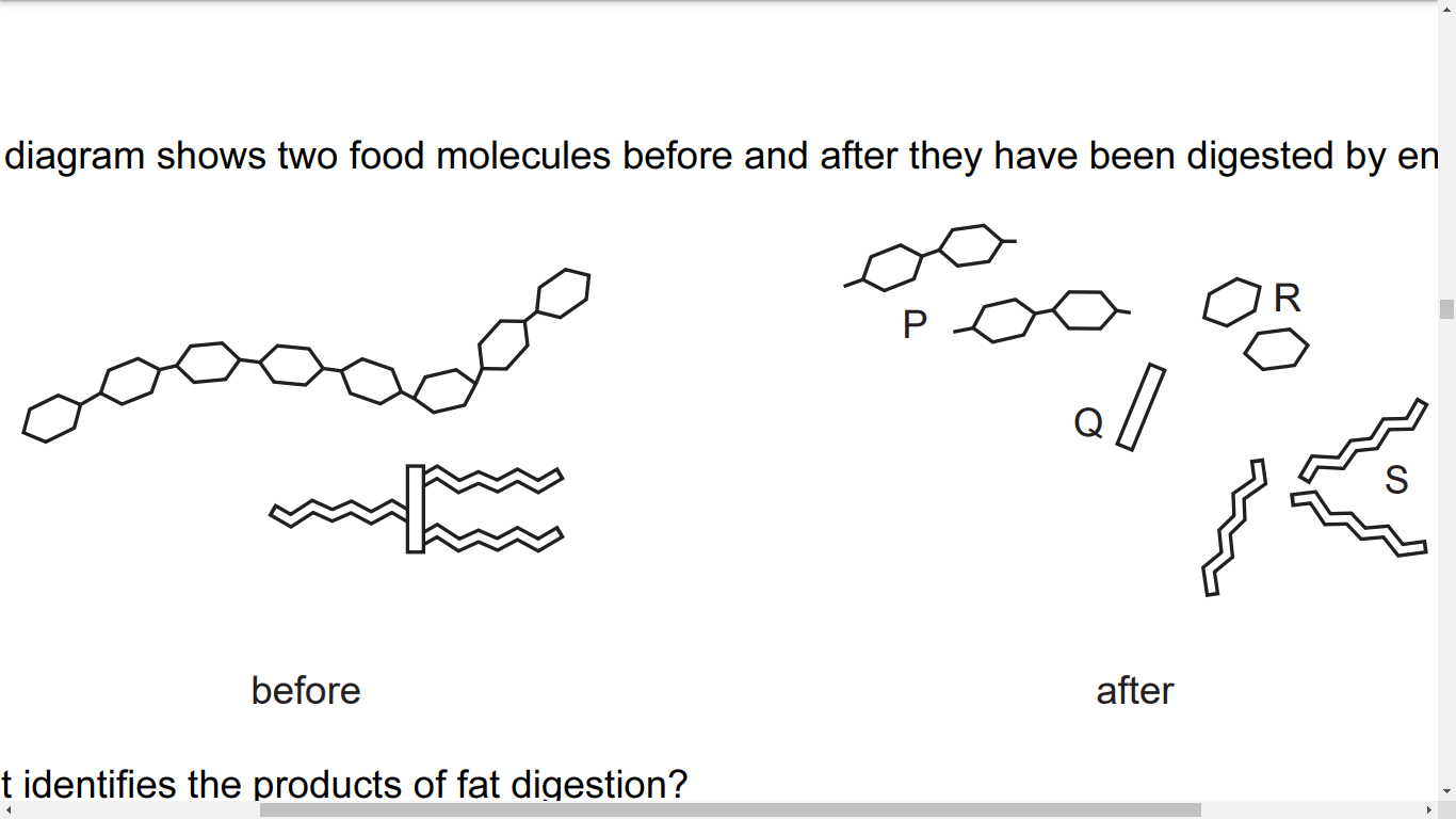 IGCSE Biological molecules Biology Quizizz