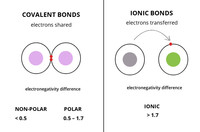 chemical bonds - Grade 10 - Quizizz