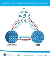 ciała stałe, ciecze i gazy - Klasa 7 - Quiz