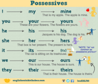 Possessive Adjectives Possessive Pronouns 2 6K Plays Quizizz