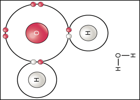 Water a polar molecule | 313 plays | Quizizz