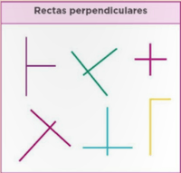 Rectas Paralelas y Perpendiculares - Grado 10 - Quizizz