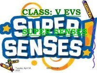 The 5 Senses Flashcards - Quizizz