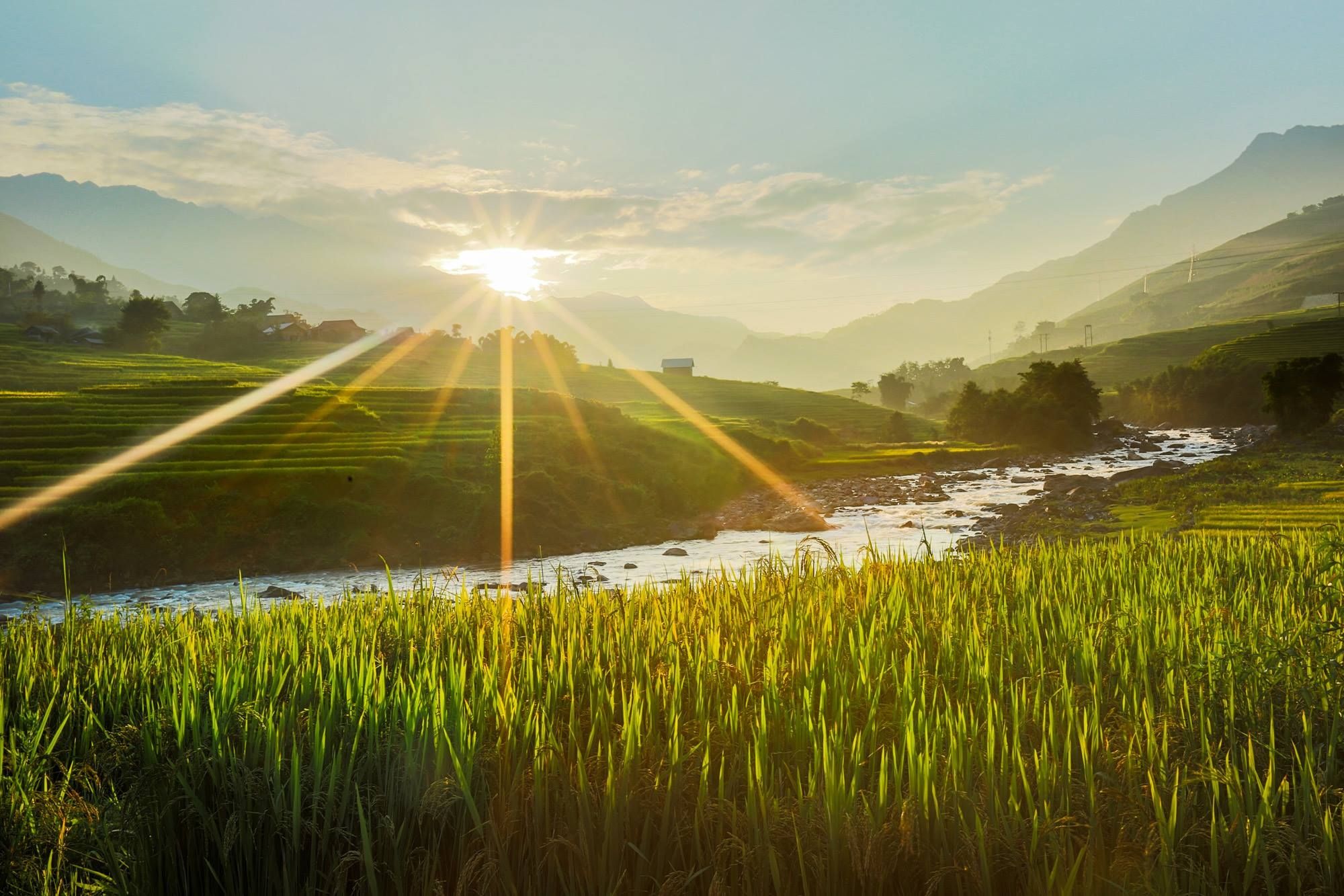 Chính phủ liên bang - Lớp 1 - Quizizz