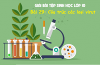 sinh vật nhân sơ và sinh vật nhân chuẩn - Lớp 10 - Quizizz