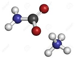 Química - Grado 7 - Quizizz