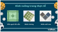 hình vuông Punnett - Lớp 12 - Quizizz