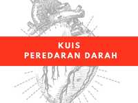 sistem peredaran darah dan pernapasan - Kelas 3 - Kuis