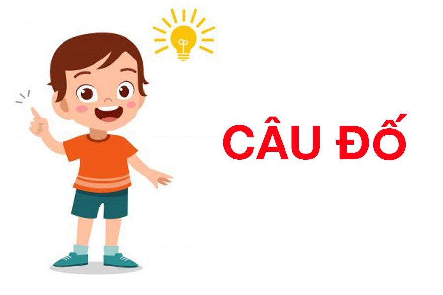 Câu đố toán học - Lớp 6 - Quizizz