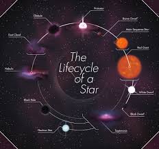 Life Cycle Of A Star Other Quiz Quizizz