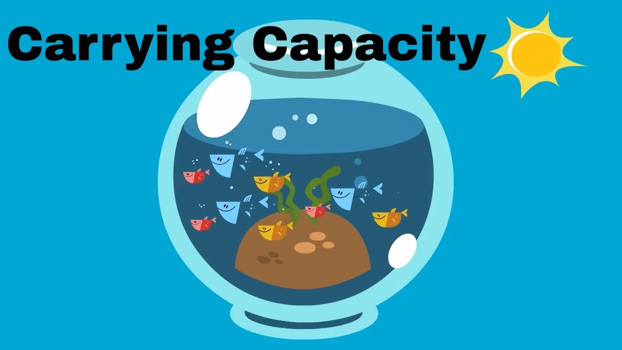 carrying-capacity-biology-quiz-quizizz