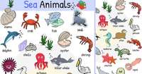 animales - Grado 3 - Quizizz