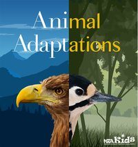 animal adaptations - Year 3 - Quizizz
