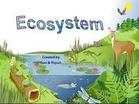 ecosystems - Grade 9 - Quizizz