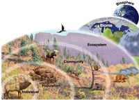 ecosystems - Year 10 - Quizizz