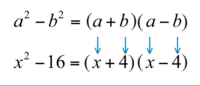 Factoring, Exponent Rules, and more!