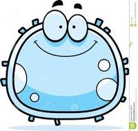 the cell membrane - Year 4 - Quizizz