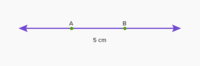 Parallel and Perpendicular Lines - Class 1 - Quizizz