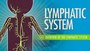 12.1 Immune and Lymphatic System 