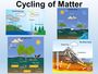 Carbon and Nitrogen Cycle Quiz