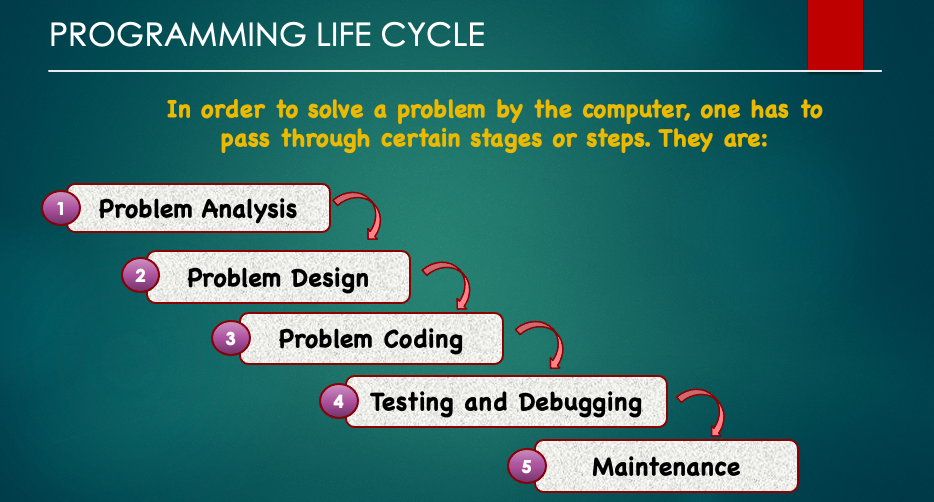 programming-life-cycle-quizizz