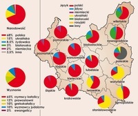 Wykresy rozproszone - Klasa 4 - Quiz