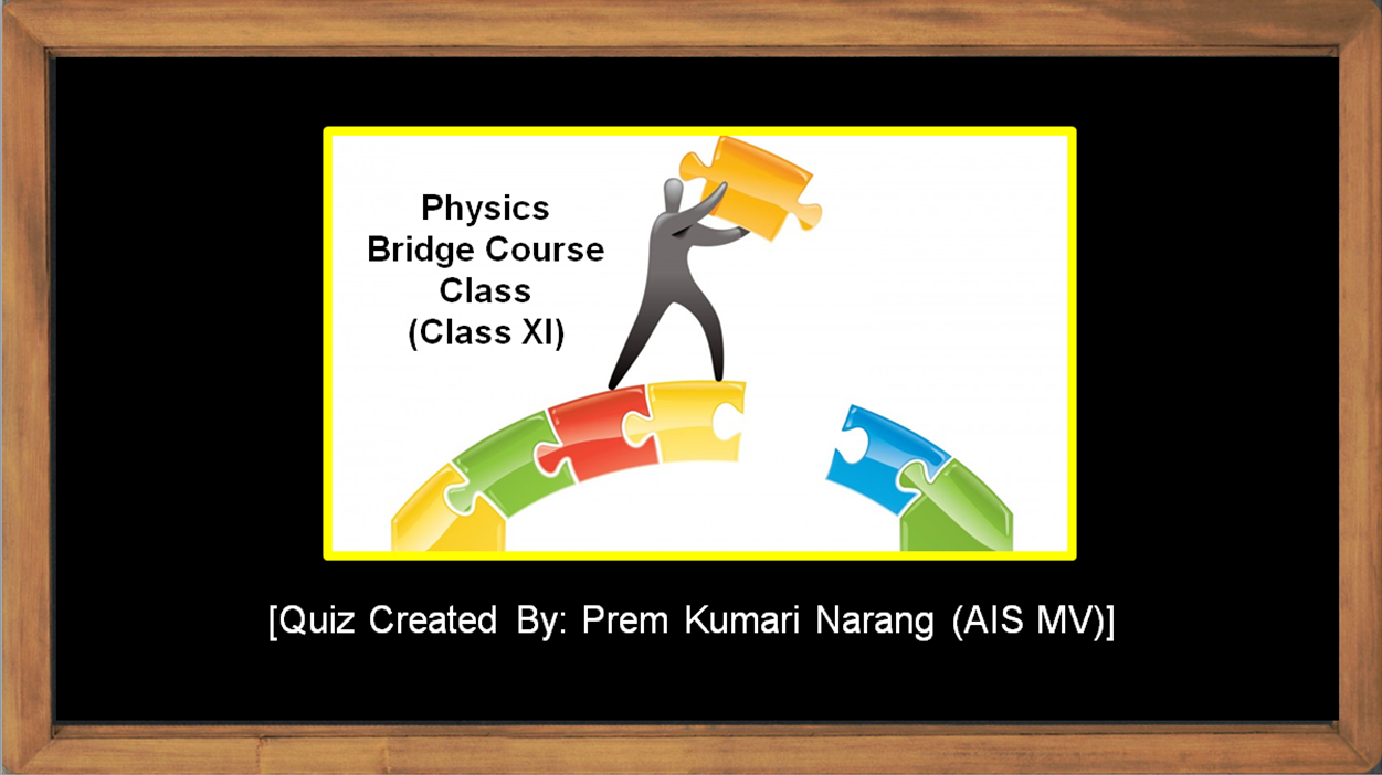 Physics Bridge Course