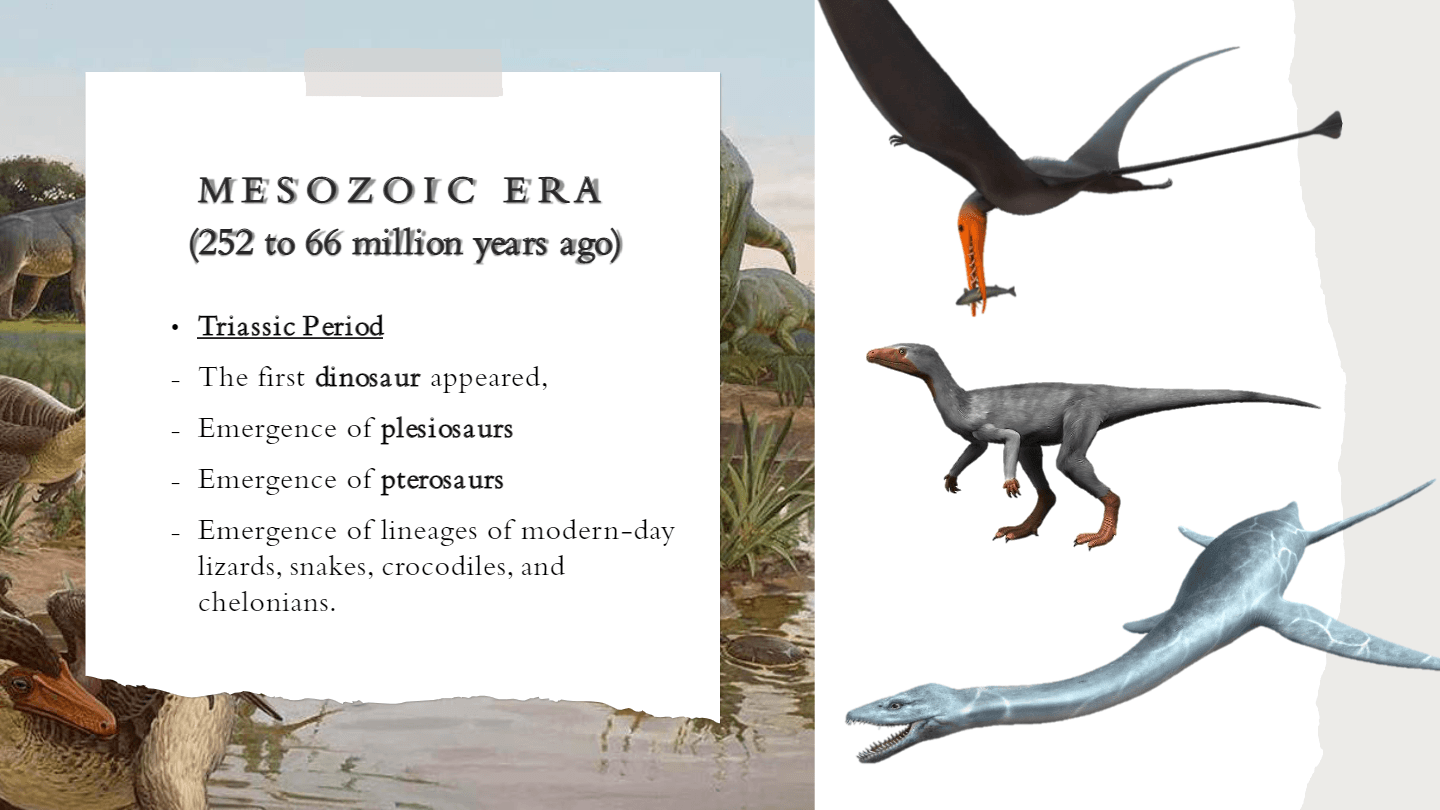 The Geological Time Scale questions & answers for quizzes and tests ...