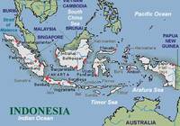 Membuat Koneksi dalam Nonfiksi - Kelas 7 - Kuis