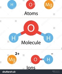 Types of Particles