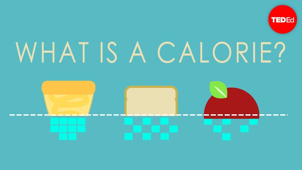 calories-questions-answers-for-quizzes-and-tests-quizizz