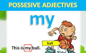 The Possessive adjectives. | Quizizz