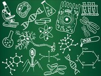human biology - Year 8 - Quizizz