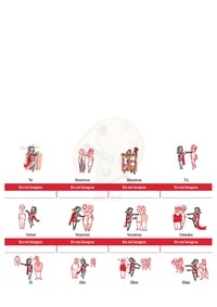 Comparar y contrastar personajes Tarjetas didácticas - Quizizz