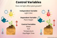 dependent variables Flashcards - Quizizz