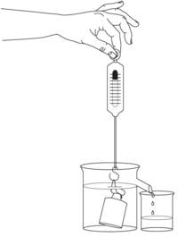 fluids - Grade 7 - Quizizz