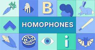 Homophones and Homographs - Class 8 - Quizizz