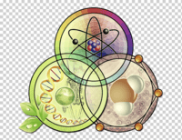 Biología humana - Grado 4 - Quizizz