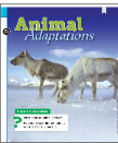 animal adaptations - Class 4 - Quizizz