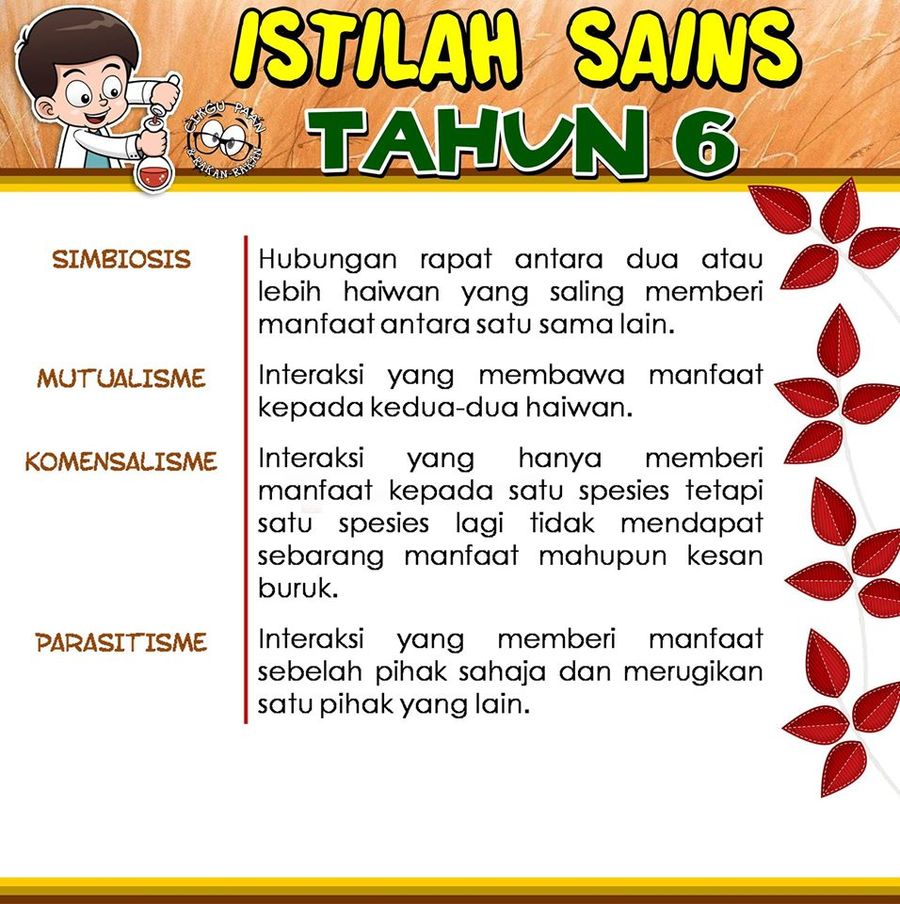 Simbiosis Antara Haiwan Tahun 6 Science Quizizz