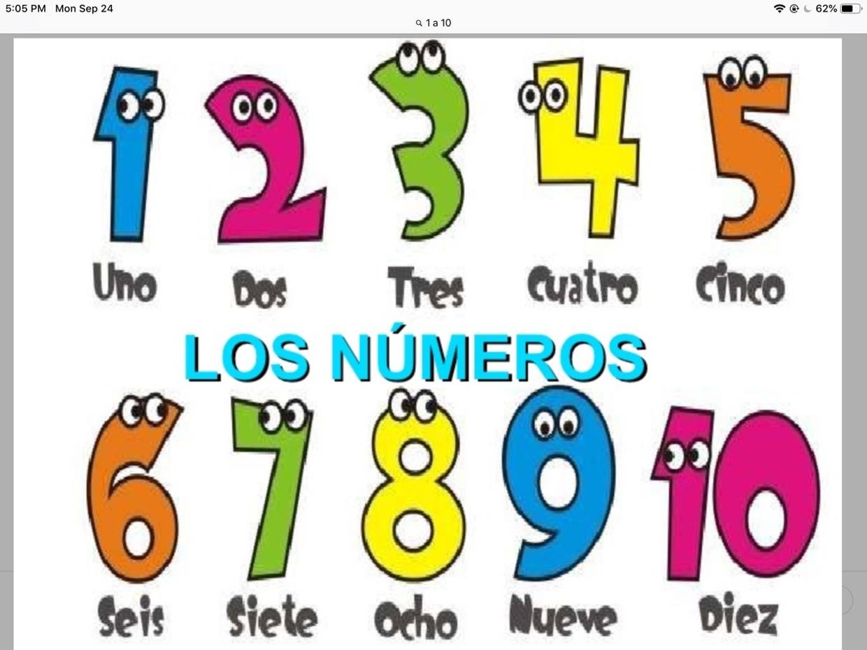 Números 1 - 30 | Spanish Quiz - Quizizz