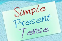 Simple Present Tense Exercise