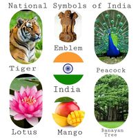 National Symbols - Year 1 - Quizizz