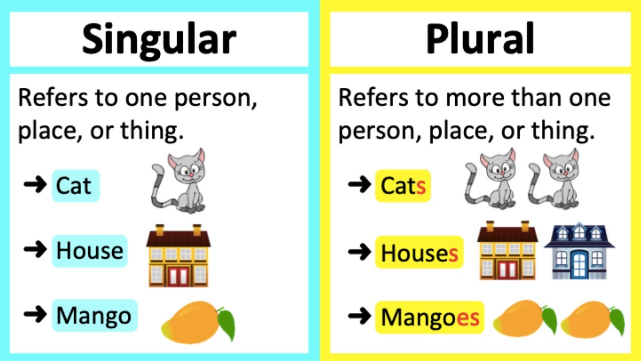 Sustantivos plurales Tarjetas didácticas - Quizizz