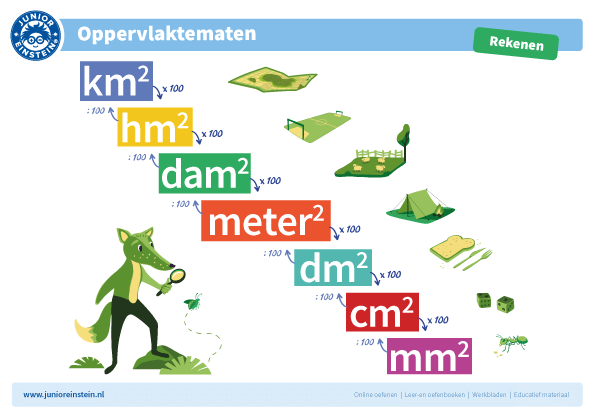 oppervlaktematen herleiden | Quizizz