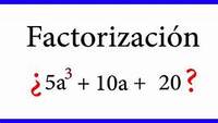 Factorizar expresiones - Grado 8 - Quizizz