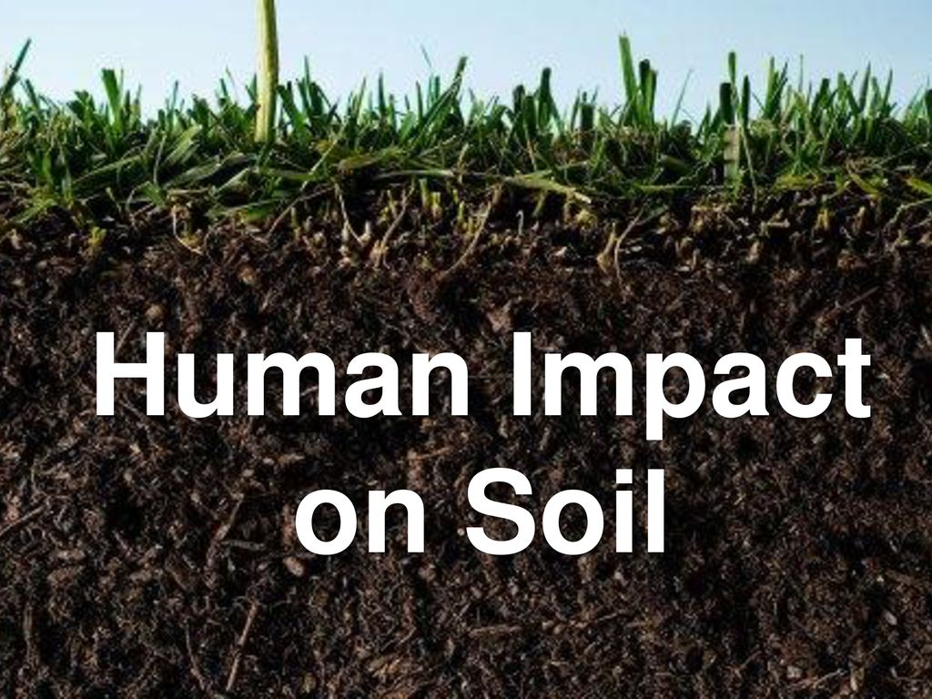 Soil and Humans