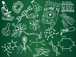 biología del comportamiento - Grado 10 - Quizizz