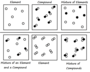 Elements, Compounds, and Mixtures