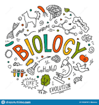 developmental biology - Class 6 - Quizizz